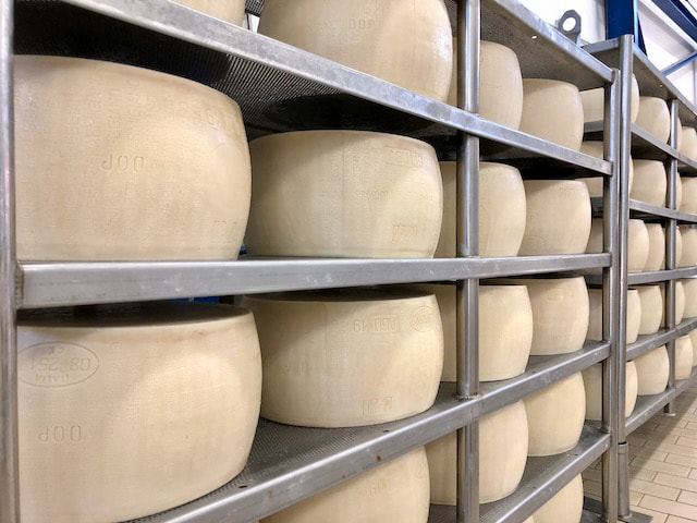 7 Lessons I Learned Working with a Cheesemaker